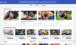 国外 短视频网站,揭秘热门平台背后的故事